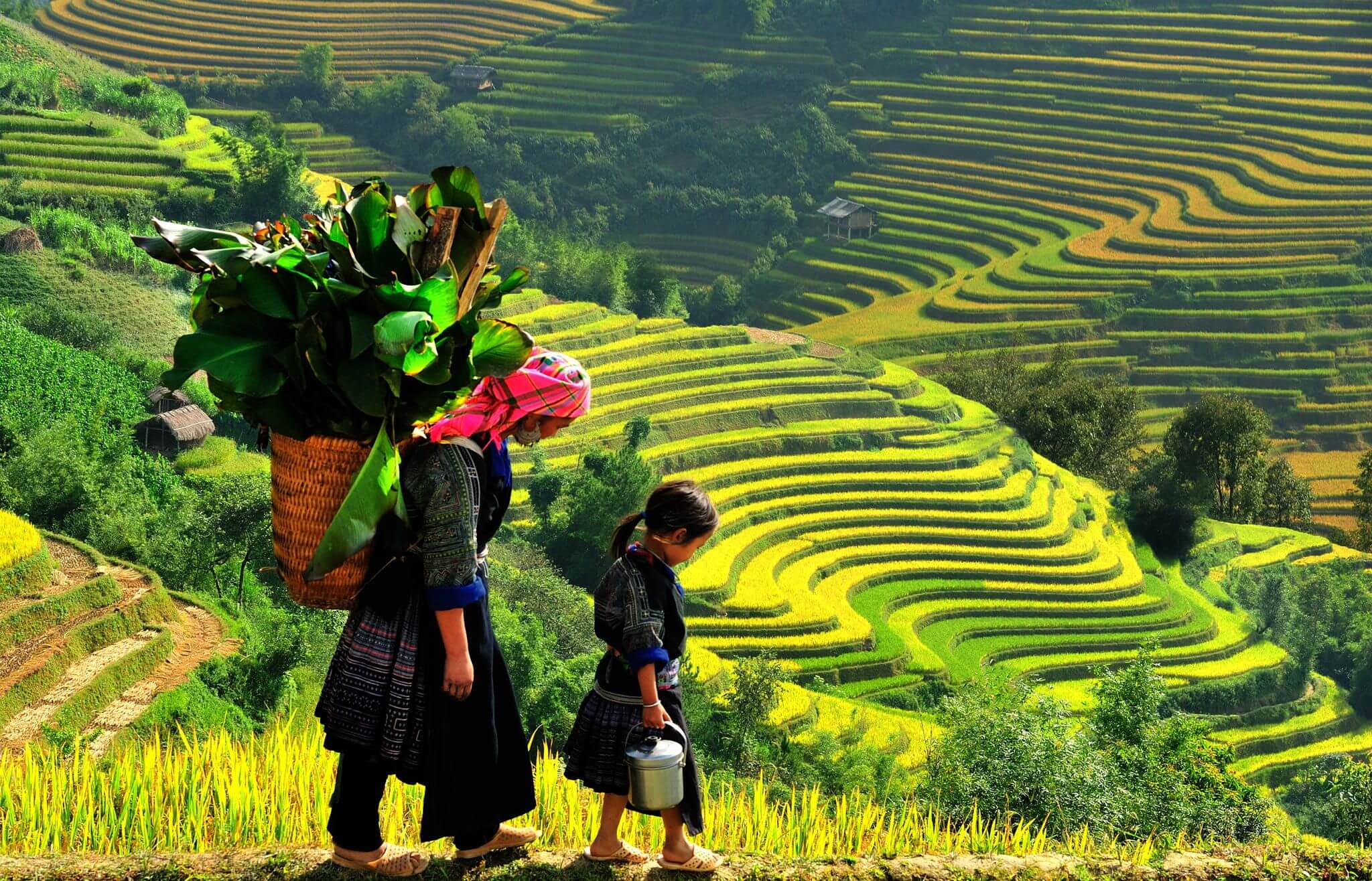 TREKKING MU CANG CHAI 3 DAYS