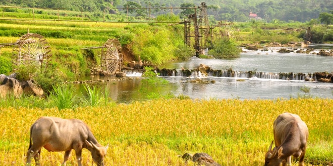 Off beaten track Pu luong Nature Reserve