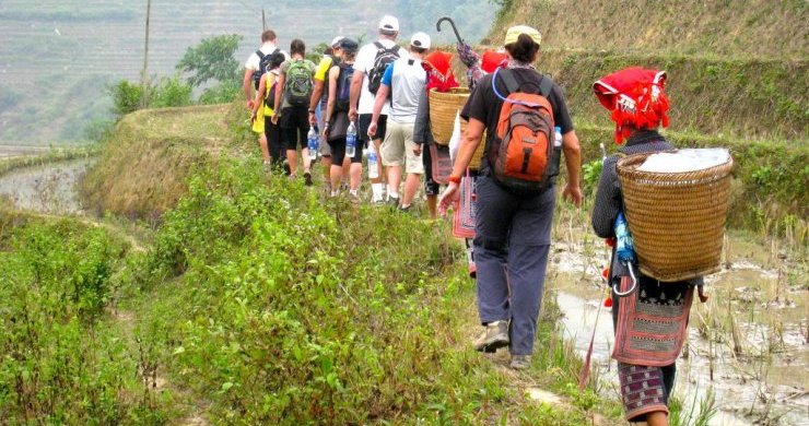 Best Time to Visit Sapa